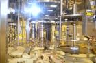 Used Fowler / Zalkin 6-Head Rotary Capping and Sorting System