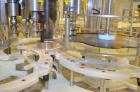 Used Fowler / Zalkin 6-Head Rotary Capping and Sorting System