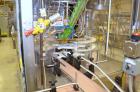 Used Fowler / Zalkin 6-Head Rotary Capping and Sorting System