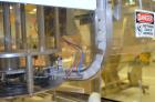 Used Fowler / Zalkin 6-Head Rotary Capping and Sorting System