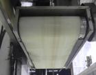 Used Eaton Dynamics overcapper belt capper.