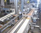 Used Bosch (Syntegon) Triseal Carton Former, Robotic Loader & Top Closer