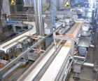 Bosch TTF, TTC, TTL Top Load Cartoning Line for Crackers, Biscuits or Cookies