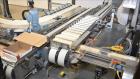 Used Bosch (Syntegon) Triseal Carton Former, Robotic Loader & Top Closer