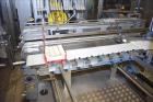 Bosch TTF, TTC, TTL Top Load Cartoning Line for Crackers, Biscuits or Cookies