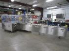 Used Adco Model 15DBC105-SS Automatic Stainless Steel Horizontal Cartoner
