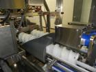 Used Douglas Machine Model CM Multi-Packer  Continuous Motion Side Load Horizon