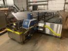 Econocorp Pegasus Automatic Horizontal Continuous Motion Cartoner.