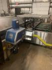 Econocorp Pegasus Automatic Horizontal Continuous Motion Cartoner.