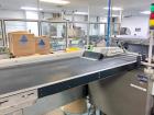 Used Econocorp Spartan Automatic Horizontal Cartoner. Capable of speeds up to 30-50 cartons per minute. Has 12