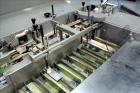 Used Marchesini Model BA 100 Automatic Horizontal Intermittent Motion Cartoner
