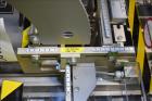 Pre-Owned Marchesini BA 100 Intermittent Motion Cartoner for Sale