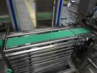 Used Marchesini Model MA352S Automatic Vial/Bottle Cartoner with Vison System
