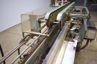 Used Langen Model B1 Semi-Automatic Horizontal Cartoner.
