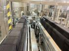 Used Bergami Packaging Solutions S.r.l. Vertical Cartoner
