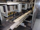 Used Triangle Continuous Motion Vertical Cartoner, Model VCL-1500