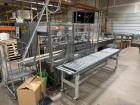Used Jones CMV5 Semi-Automatic Continuous Motion Vertical Tuck Cartoner – Pharmaceutical Cartoning System