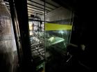 Used Wayne Model CE-2100 Automatic Case Erector with Tape Bottom Sealer