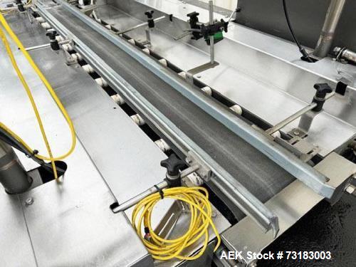 Hamrick Model 300-D Automatic Case Drop Packer with Servo Laner.