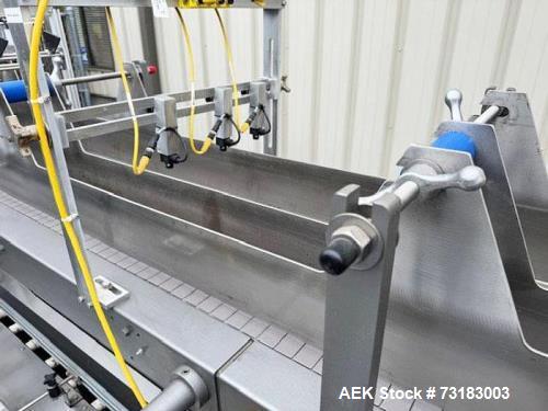 Hamrick Model 300-D Automatic Case Drop Packer with Servo Laner.