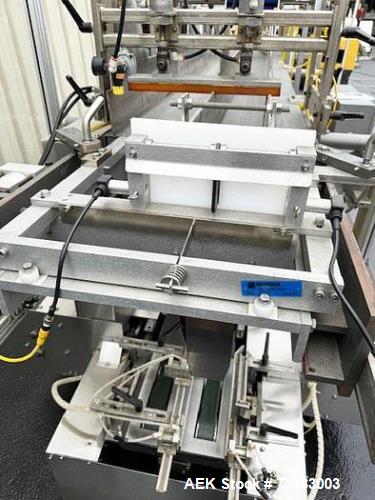 Hamrick Model 300-D Automatic Case Drop Packer with Servo Laner.