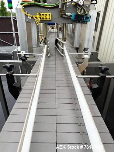 Hamrick Model 300-D Automatic Case Drop Packer with Servo Laner.