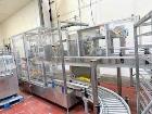 Hamrick 600D-S Case Packer with a Hamrick TT-25 HS Case Sealer-Used
