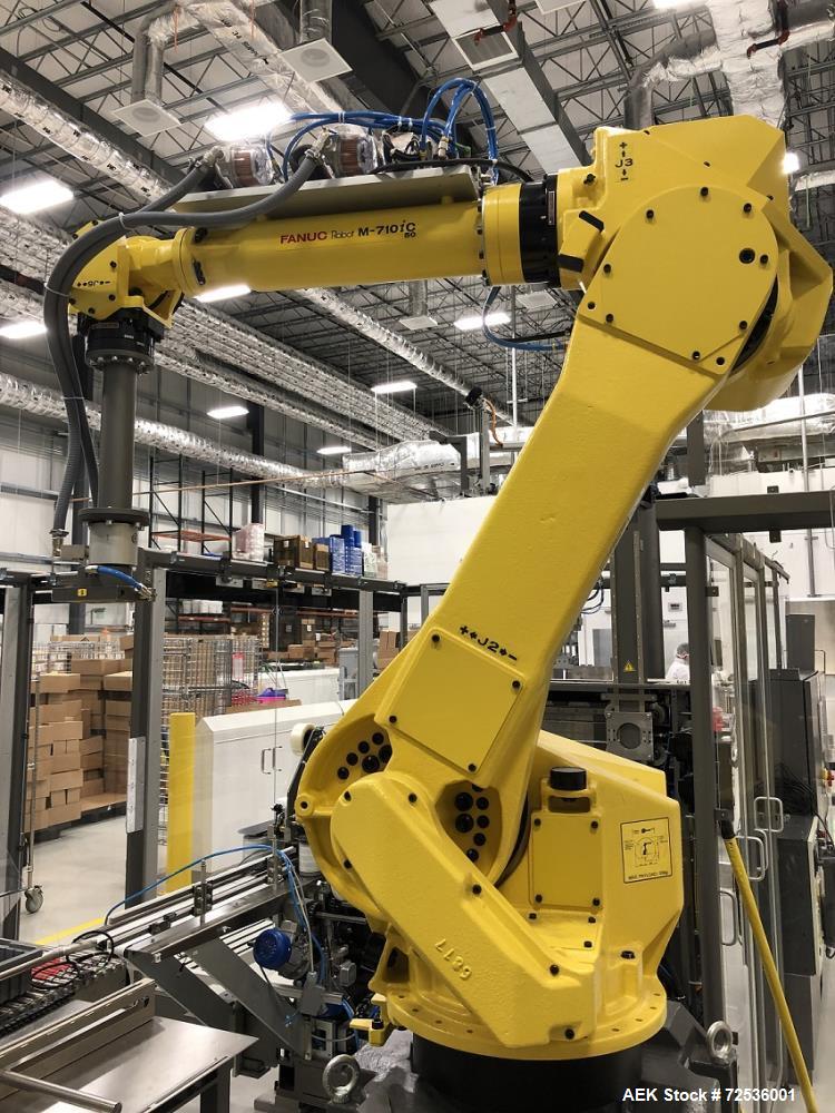 IMA Robotic Top-Load Case Packing and Palletizing System