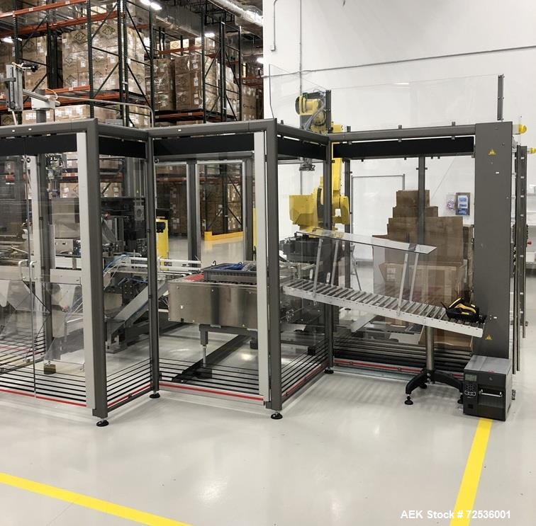 IMA Robotic Top-Load Case Packing and Palletizing System