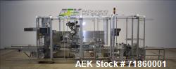 Used- Pester Pharmaceutical or Cosmetic Robotic Case Packer