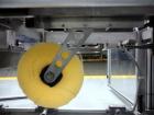 Used Brenton Model TL-KD-CP Top Load Case Packer