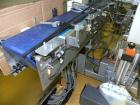 Used Cermex Sidel Model SD-59 Compact Top Loading Robotic Case Packer