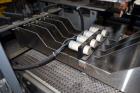 Used ESS Technologies V30M Vertical Robotic Case Packer