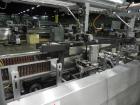 Used- Elliott Model 2000 SL Automatic Case Packer