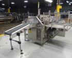 Used Fallas Model NDX-220 KR-7 Automatic Pouch/Bag Case Packer Erector Packer