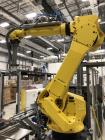 IMA Robotic Top-Load Case Packing and Palletizing System