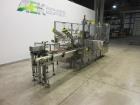 Used- MGS Model HIS-1800 Case Packer