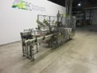 Used MGS Model HIS-1800 Case Packer