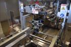 Used- Pester Pharmaceutical or Cosmetic Robotic Case Packer