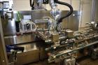 Used- Pester Pharmaceutical or Cosmetic Robotic Case Packer