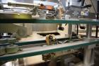 Used- Pester Pharmaceutical or Cosmetic Robotic Case Packer