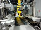 Used Christ Packaging (Skinetta) Case Packer ,  Model CP145