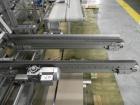 Used Skinetta Model Pick & Place 2000 Robotic Case Packing System