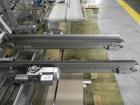 Used- Skinetta Model Pick & Place 2000 Robotic Case Packing System