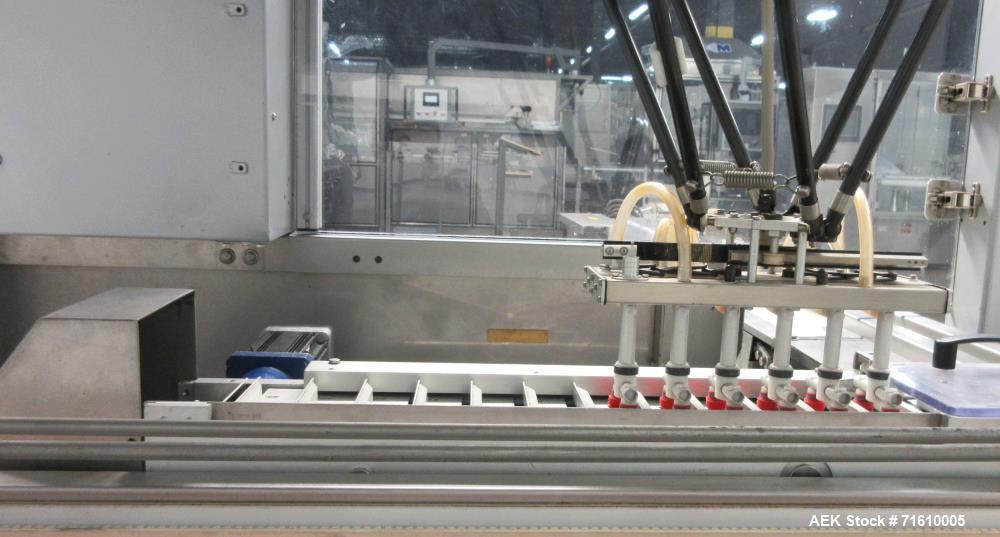 Used Doboy Presto Robotic Top Load Case Packer