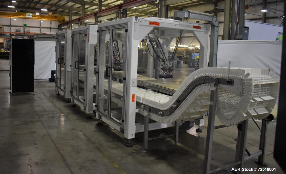 Fanuc Robotic Case Packing System