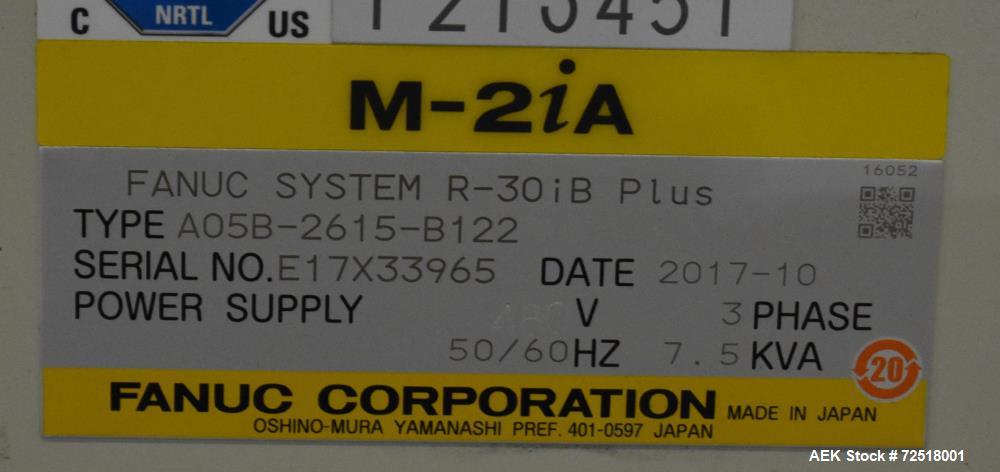 Fanuc Robotic Case Packing System