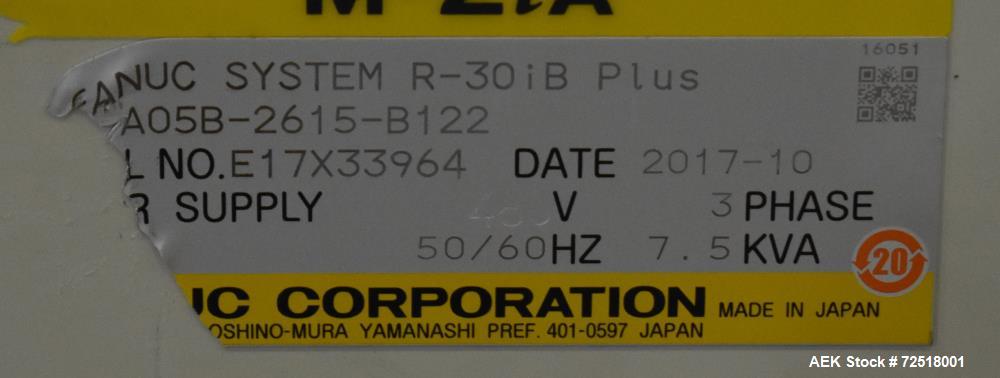 Fanuc Robotic Case Packing System