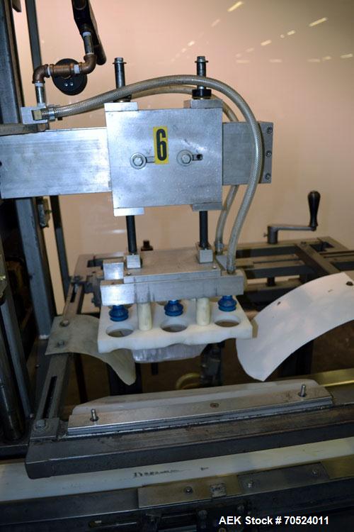 Used Wepackit Model MPM 300 Case Packer