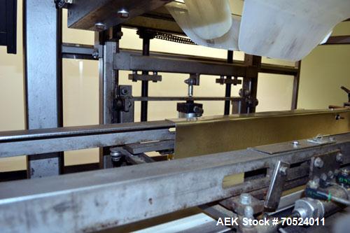 Used Wepackit Model MPM 300 Case Packer